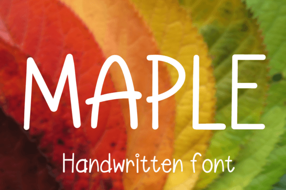 Maple